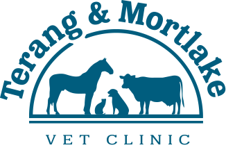 Terang & Mortlake Vet Clinic
